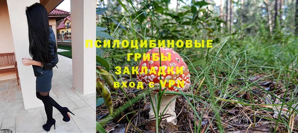spice Алексеевка