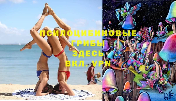метадон Алексин