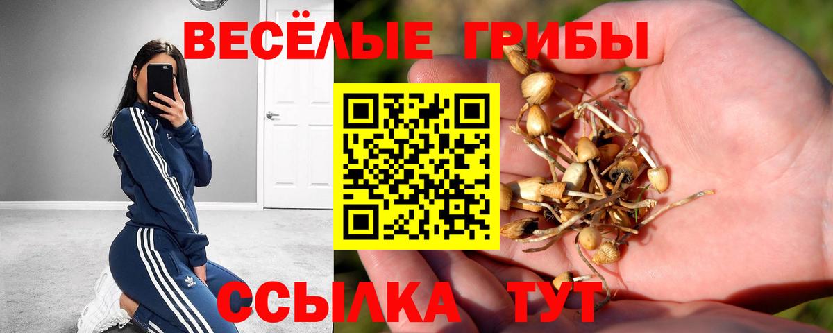 купить закладку  Вход с VPN  Железноводск  Псилоцибиновые грибы Psilocybine cubensis  Псилоцибиновые грибы ЛСД 
